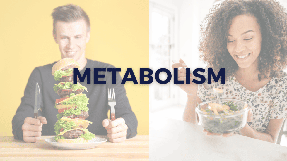 Metabolism: In & Out