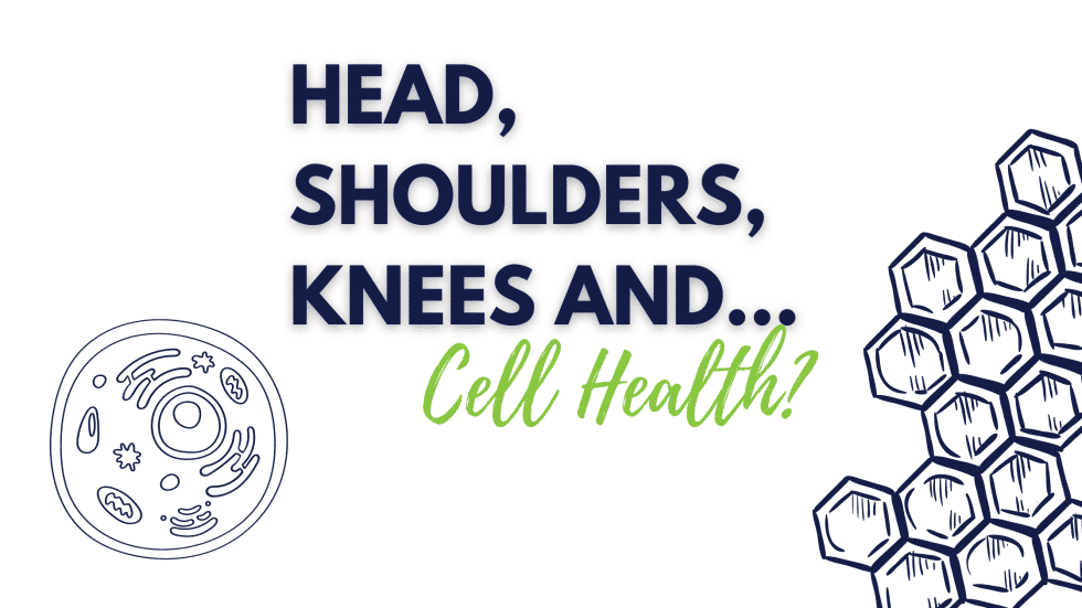 Head, Shoulders, Knees and… Cell Health?