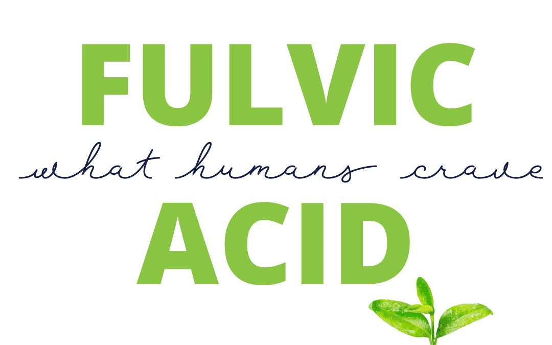 Fulvic Acid Should Be A New Addition To Your Diet