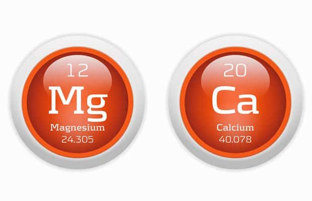 Got Magnesium? Why the Calcium-Magnesium Ratio is Important