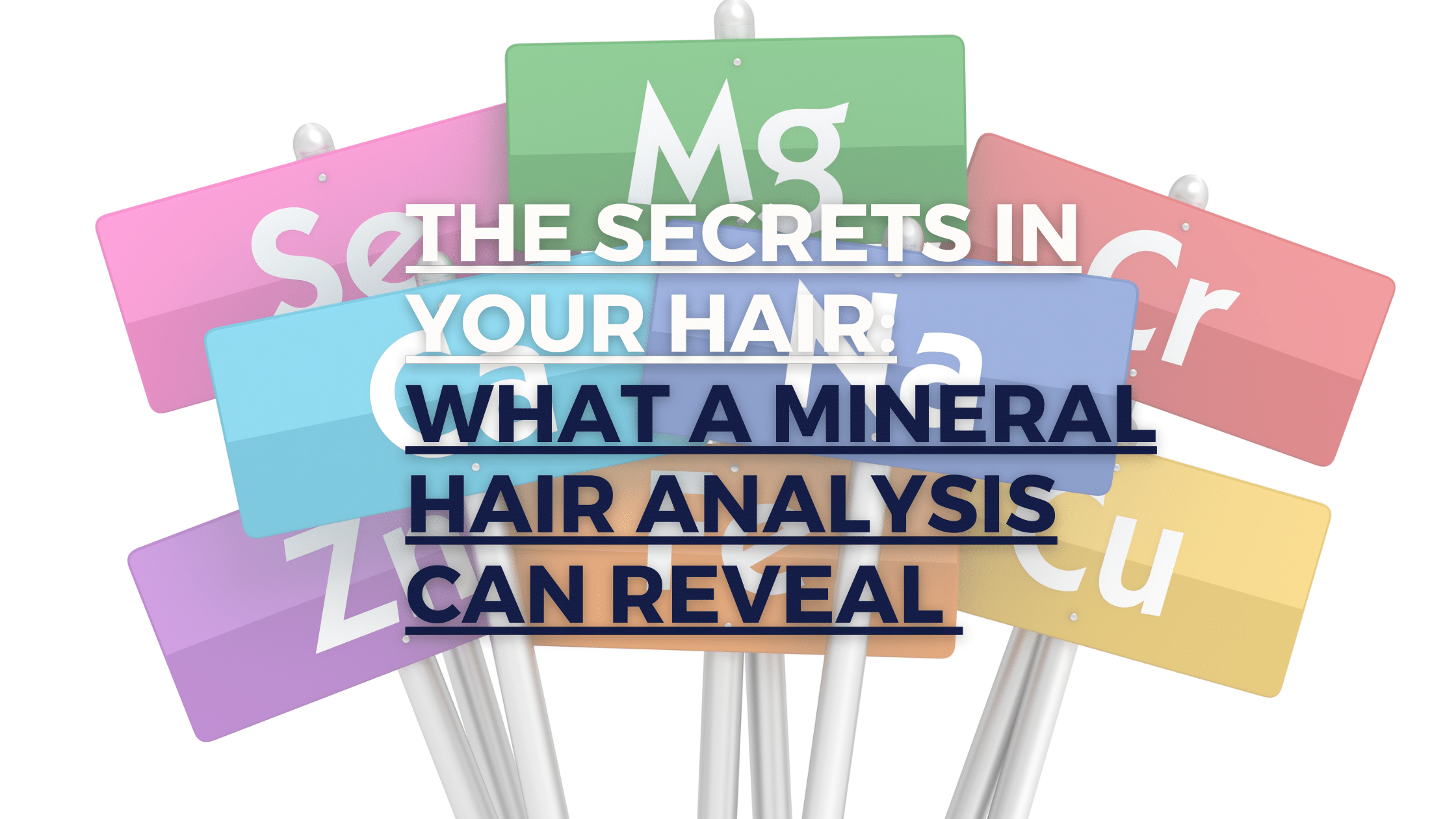 The Secrets in Your Hair: What a Mineral Hair Analysis Can Reveal
