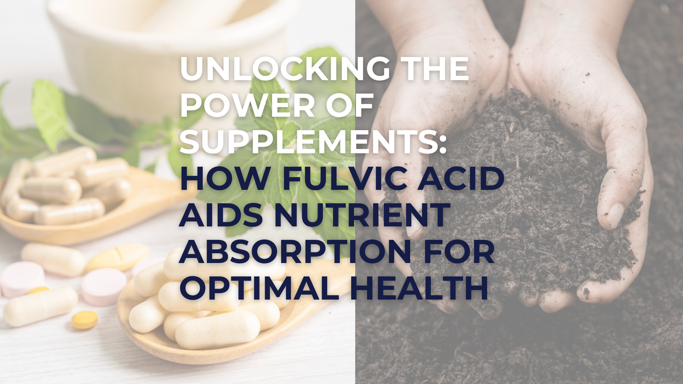 Unlocking the Power of Supplements: How Fulvic Acid Aids Nutrient Absorption for Optimal Health