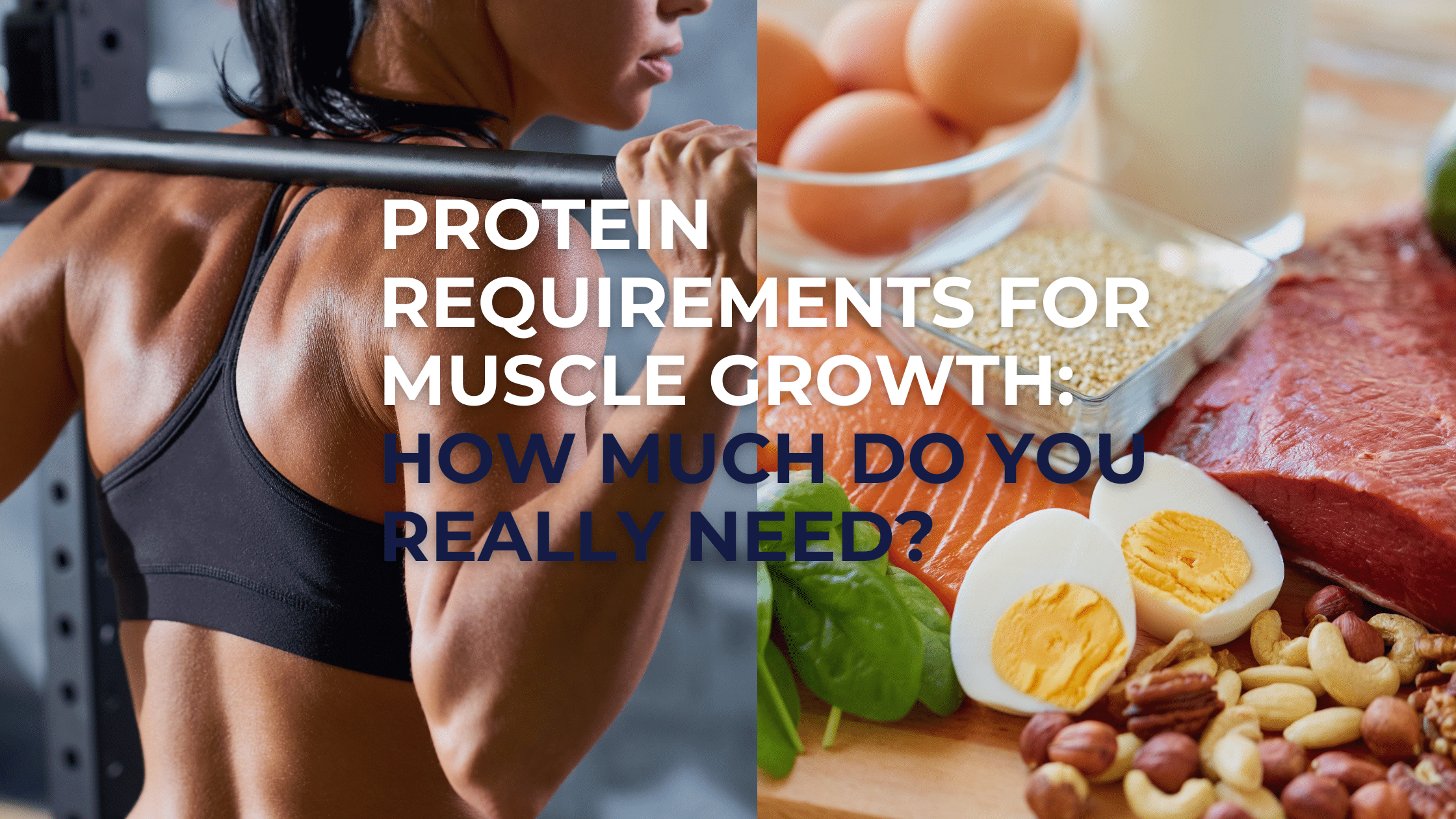 Protein Requirements for Muscle Growth: How Much Do You Really Need?