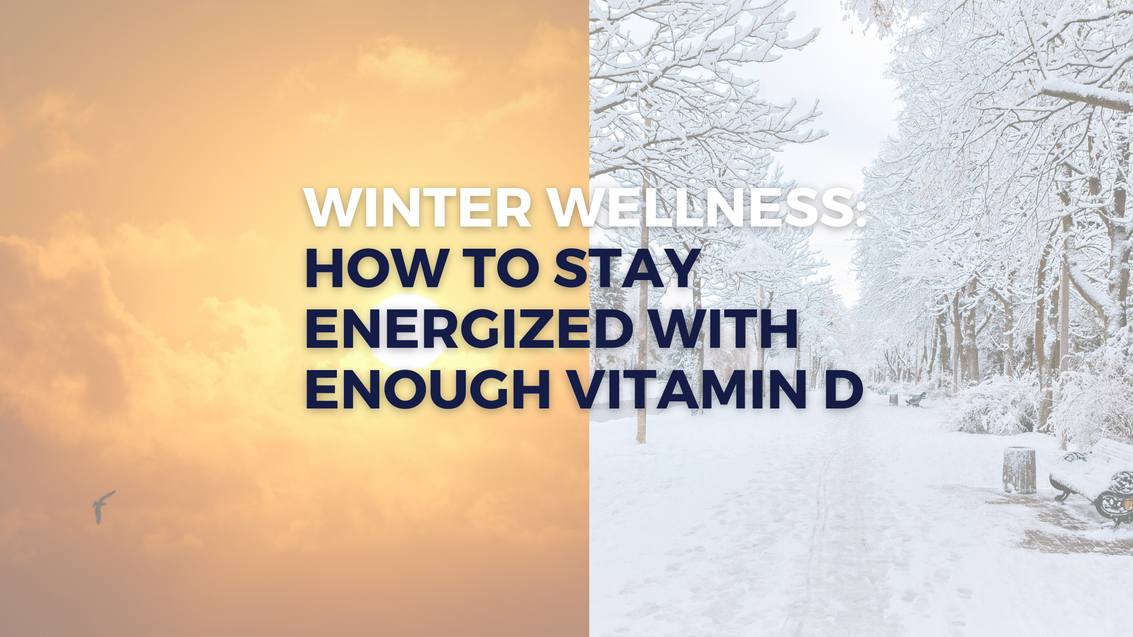 Winter Wellness: How to Stay Energized with Enough Vitamin D